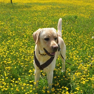 Mitarbeiterfoto von Emil